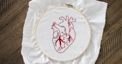 Серцево-судинна система