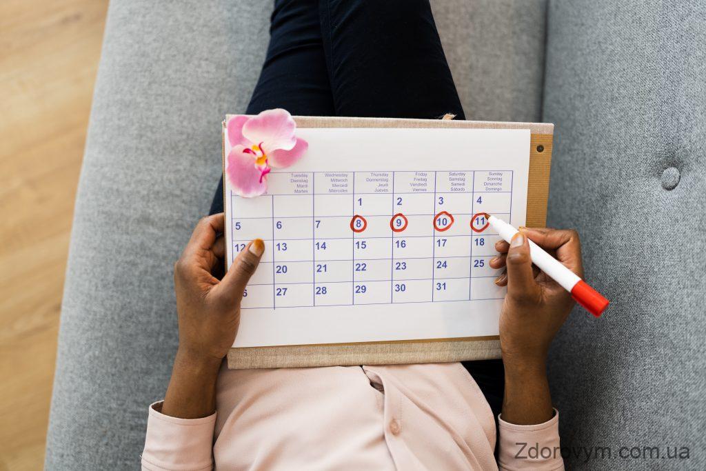 Календар менструального циклу