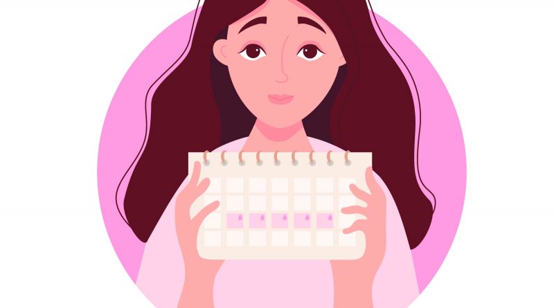 Фази менструального циклу