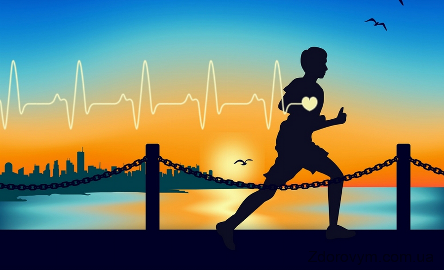 Позитивний вплив фізичної активності на роботу серця