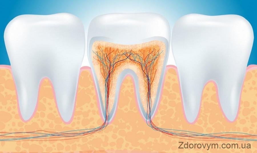 Кореневий канал зуба